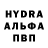 ГАШ гарик Hilda Bravo