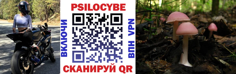 Галлюциногенные грибы мухоморы  Белёв 